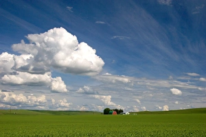 Eastern washington pea farm with rolling hills and clouds Eastern washington pea farm with rolling hills and clouds