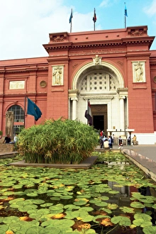 Egypt, Cairo, the Museum of Egyptian Antiquities, Papyrus in a Lily Pond in front Egypt, Cairo, the Museum of Egyptian Antiquities, Papyrus in a Lily Pond in front