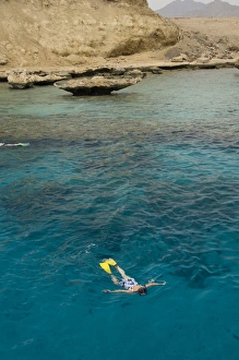 Egypt, Sinai Peninsula, Gulf of Tiran, Sharm El-Sheikh (aka Red Sea Riviera). Snorkeling Egypt, Sinai Peninsula, Gulf of Tiran, Sharm El-Sheikh (aka Red Sea Riviera). Snorkeling