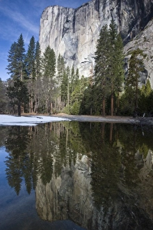 El Capitan reflected in a small lake in Yosemite valley - Yosemite National Park El Capitan reflected in a small lake in Yosemite valley - Yosemite National Park