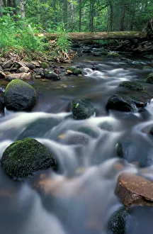 Errol, NH. A small tributary of the Androscoggin River. 13 Mile Woods. Northern Forest Errol, NH. A small tributary of the Androscoggin River. 13 Mile Woods. Northern Forest