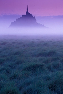 EU, France, Normandy, Manche, Mont St Michel. Dawn, mist, and field EU, France, Normandy, Manche, Mont St Michel. Dawn, mist, and field