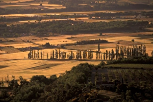 EU, France, Provence, Vaucluse, Gordes. Countryside EU, France, Provence, Vaucluse, Gordes. Countryside
