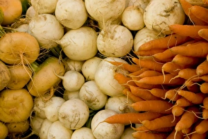 Europe, Finland, Helsinki. Produce at an outdoor market Europe, Finland, Helsinki. Produce at an outdoor market