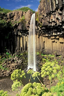 Europe, Iceland, Skaftafell NP, Svartifoss Falls Europe, Iceland, Skaftafell NP, Svartifoss Falls