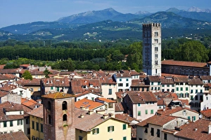 Europe; Italy; Lucca; The Tower San Frediano Stands above the roof tops Europe; Italy; Lucca; The Tower San Frediano Stands above the roof tops
