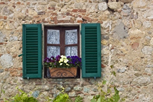 Europe; Italy; Monteriggoni; Flower Box full of Spring Flowers and Window Shutter Europe; Italy; Monteriggoni; Flower Box full of Spring Flowers and Window Shutter