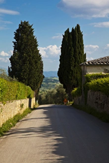 Europe; Italy; Tuscany; Tuscan Backroad through Cypress Trees Europe; Italy; Tuscany; Tuscan Backroad through Cypress Trees