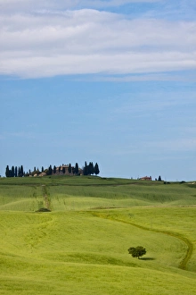 Europe; Italy; Tuscany; Tuscan Green Rolling Hills Europe; Italy; Tuscany; Tuscan Green Rolling Hills