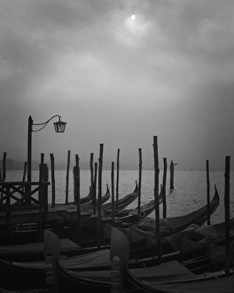 Europe, Italy, Venice. Moored gondolas and fog Europe, Italy, Venice. Moored gondolas and fog