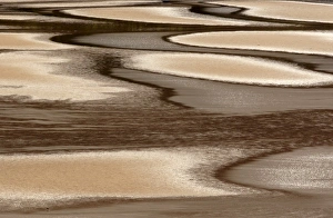 Europe, scotland, Applecross Peninsula, abstract of tidal flat Europe, scotland, Applecross Peninsula, abstract of tidal flat
