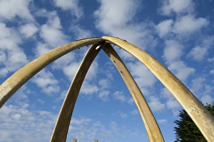 Falkland Island, Stanley (aka Port Stanley). Whalebone Arch, constructed in1933 Falkland Island, Stanley (aka Port Stanley). Whalebone Arch, constructed in1933