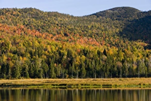 Fall at Big Brook Bog in Pittsburgh, New Hampshire Fall at Big Brook Bog in Pittsburgh, New Hampshire