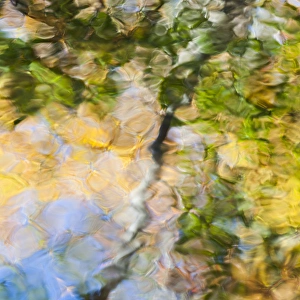 Fall colors reflect in the rippled waters of a pond, looking like a painting Fall colors reflect in the rippled waters of a pond, looking like a painting