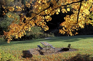 Fall Foliage. Cohos Trail. Zealand Campground. Twin Mtn. White Mountain N.F., NH Fall Foliage. Cohos Trail. Zealand Campground. Twin Mtn. White Mountain N.F., NH