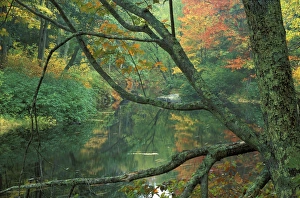 Fall along the Lamprey River in Durham, New Hampshire Fall along the Lamprey River in Durham, New Hampshire