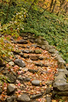 Fall leaves path, Millcreek Canyon, Wasatch-Cache National Forest, Utah Fall leaves path, Millcreek Canyon, Wasatch-Cache National Forest, Utah