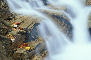 Fall in New England. Waterfalls. Pearl Cascade, on the Avalon Trail near Crawford Notch Fall in New England. Waterfalls. Pearl Cascade, on the Avalon Trail near Crawford Notch
