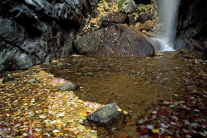 Fall Waterfalls Pitcher Falls in New Hampshires White Mountains near the Kancamagus Fall Waterfalls Pitcher Falls in New Hampshires White Mountains near the Kancamagus
