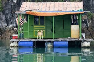 Famous for its precipitous limestone cliffs, thousands of islands, and rich biodiversity Famous for its precipitous limestone cliffs, thousands of islands, and rich biodiversity