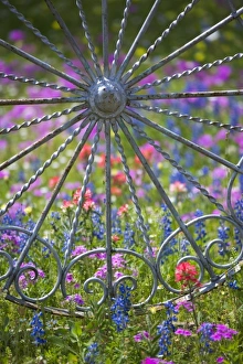 Fancy wheel Gate and fence with backdrop of Texas Wildflowers, Blue Bonnets Fancy wheel Gate and fence with backdrop of Texas Wildflowers, Blue Bonnets