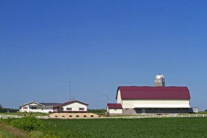 Farm and soybean crop north of Eau Claire, Wisconsin, USA Farm and soybean crop north of Eau Claire, Wisconsin, USA