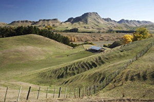 Farmland, Tukituki Valley, and Te Mata Peak, Hawkes Bay, North Island, New Zealand Farmland, Tukituki Valley, and Te Mata Peak, Hawkes Bay, North Island, New Zealand