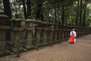 A female shrine attendant walks past a long row of decorative stone lanterns at Kasuga A female shrine attendant walks past a long row of decorative stone lanterns at Kasuga