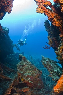 Female teen scuba diver, Wreck of the RMS Rhone, sank after the Great Hurricane of Female teen scuba diver, Wreck of the RMS Rhone, sank after the Great Hurricane of