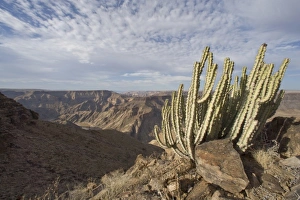 Fish River Canyon Namibia Prints: Fish River Canyon, Namibia