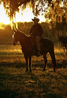 Florida cracker, Chuck Luzier on Cheyenne an adopted mustang in a Florida Florida cracker, Chuck Luzier on Cheyenne an adopted mustang in a Florida