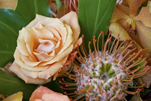 Flower arrangement with rose, orchid, and protea blossoms Flower arrangement with rose, orchid, and protea blossoms