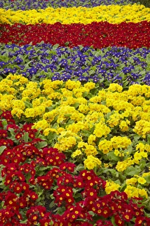 Flower garden at Dunedin Railway Station, South Island, New Zealand Flower garden at Dunedin Railway Station, South Island, New Zealand