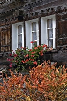 Flowerbox in cabin windows, Zermatt, Switzerland Flowerbox in cabin windows, Zermatt, Switzerland
