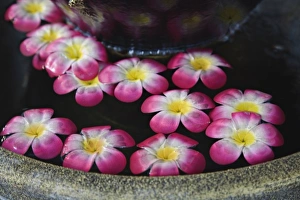 Flowers floating in fountain, Bangkok, Thailand Flowers floating in fountain, Bangkok, Thailand