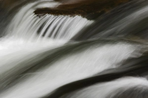 Flowing water, Middle Prong of the Little Pigeon River, Great Smoky Mountains National Flowing water, Middle Prong of the Little Pigeon River, Great Smoky Mountains National
