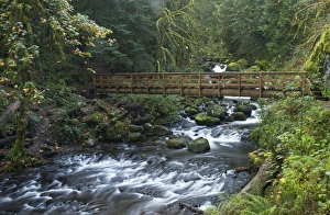 Footbridge across Oneonta creek, Columbia River Gorge, Oregon Footbridge across Oneonta creek, Columbia River Gorge, Oregon