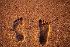 Footprints in the sand on a Kauai beach, in Hawaii Footprints in the sand on a Kauai beach, in Hawaii