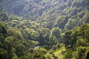 Forested Picos de Europa mountains at Covadonga, Asturias, northwestern Spain Forested Picos de Europa mountains at Covadonga, Asturias, northwestern Spain