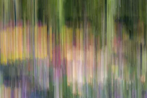 France, Giverny. Abstract of flowers in Monet's Garden France, Giverny. Abstract of flowers in Monet's Garden