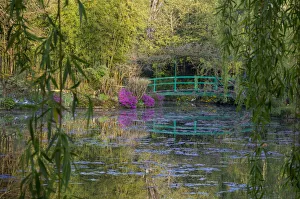 France, Giverny, Monet's Garden. Sunrise view of iconic bridge and lily pond France, Giverny, Monet's Garden. Sunrise view of iconic bridge and lily pond