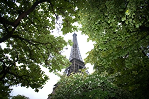 France, Paris. Close-up of portion of Eiffel Tower in daytime. Credit as: Jim Zuckerman France, Paris. Close-up of portion of Eiffel Tower in daytime. Credit as: Jim Zuckerman