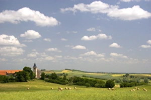 French countryside near Morhange, France. france, french, europe, european French countryside near Morhange, France. france, french, europe, european