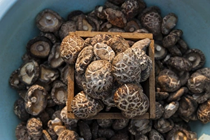 Fresh mushrooms for sale, Beopjusa Temple Complex, South Korea Fresh mushrooms for sale, Beopjusa Temple Complex, South Korea