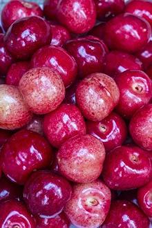 Fresh picked cherries in Whitefish, Montana, USA Fresh picked cherries in Whitefish, Montana, USA