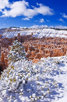 Fresh powder on rock formations in the Silent City, Bryce Canyon National Park, Utah Fresh powder on rock formations in the Silent City, Bryce Canyon National Park, Utah