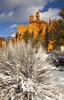 Fresh spring snowfall coats the red rocks and hoodoos at Red Canyon in the Dixie Fresh spring snowfall coats the red rocks and hoodoos at Red Canyon in the Dixie