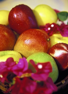 Fresh Fruit Basket Prints: Fruit Basket