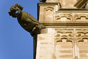 Gargoyle on Gothic tower of Altes Rathaus (city hall), old quarter of city, Cologne Gargoyle on Gothic tower of Altes Rathaus (city hall), old quarter of city, Cologne
