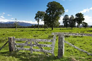 Images Dated 5th October 2005: Gate and Farmland near Fox Glacier, West Coast, South Island, New Zealand